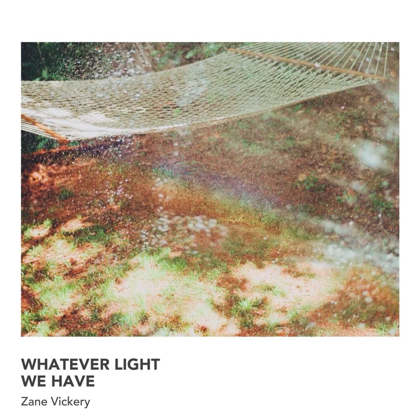 Whatever Light We Have by Zane Vickery