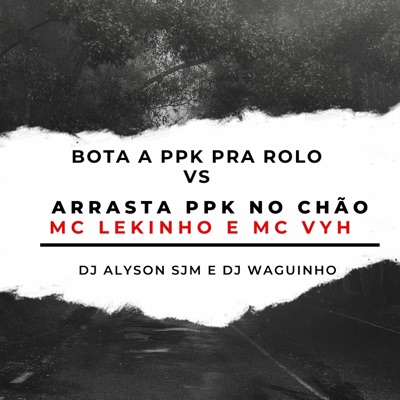 Bota a Ppk pra Rolo Vs Arrasta Ppk no Chão (feat. MC Lekinho & DJ ALYSON SJM) - Single