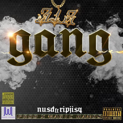 GANG (feat. RIPJISQ & Mvgic Hands!) - Single