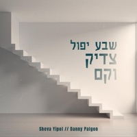 Sheva Yipol - Single - Danny Palgon