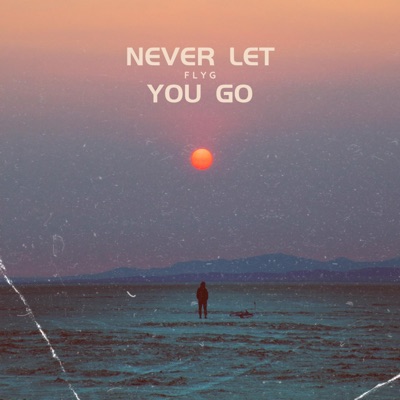 Never Let You Go (feat. Jaydeals) - Single