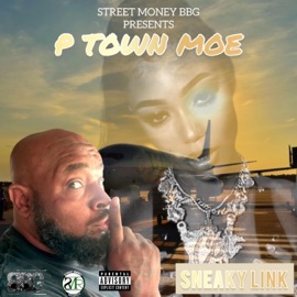 Sneaky Link P Town Moe