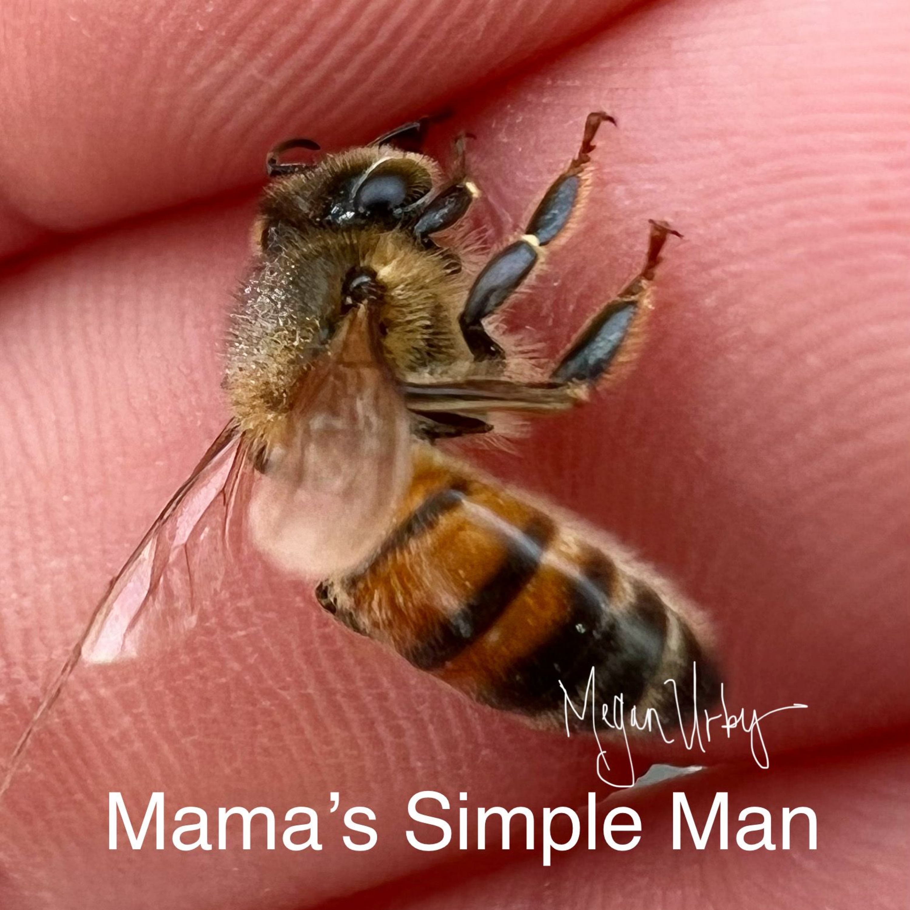 Megan Urby - Mama's Simple Man