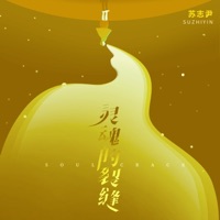 灵魂的裂缝 (男生版) - Single - Andy Su