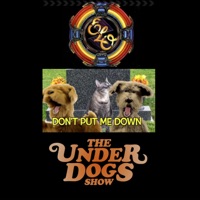 Don't Bring Me Down - Single - The Underdogs