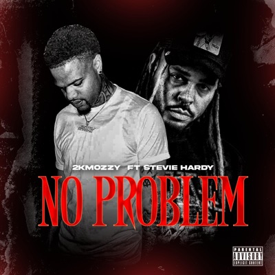 No Problem (feat. Stevie Hardy) - Single