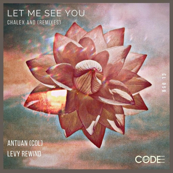Let Me See You - Single