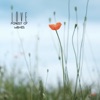 Forest of Wishes - Single
