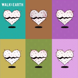 Walk Off the Earth - My Stupid Heart (HUTS Remix) - Line Dance Choreographer