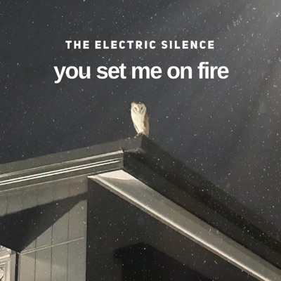 You Set Me On Fire - Single