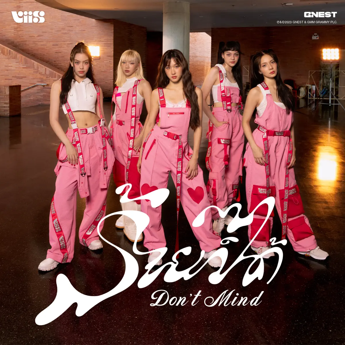 VIIS - ร้ายก็ได้ (Don't Mind) - Single (2023) [iTunes Plus AAC M4A]-新房子