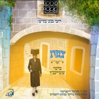 צפת - Single - Motty Steinmetz