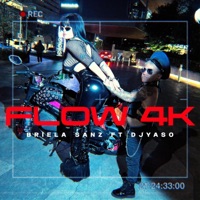 Flow 4K (feat. Dj Yaso) - Single - Briela Sanz