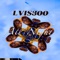 All Night (feat. BoyTru) - Lvis300 lyrics