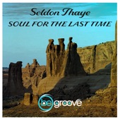 Soul for the Last Time artwork