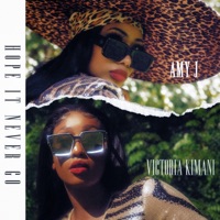 Hope It Never Go (feat. Victoria Kimani) - Single - Amy J