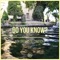 Do You Know? (feat. Cameron J) - Alex Greenhouse lyrics