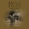 In the Glow - Angus Stone lyrics