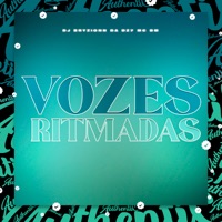 Vozes Ritmadas (feat. MC BM OFICIAL) - Single - DJ BRYZIONN DA DZ7