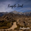 Fragile Soul - Single