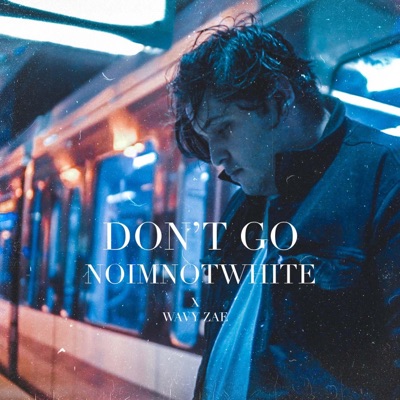 Don't Go (feat. Wavy Zae) - Single