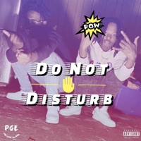 Do Not Disturb (feat. PGE TeeMoe) - Single - Quixkdrvw