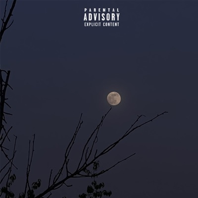 Luna - Single