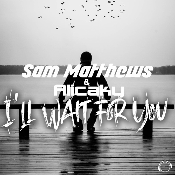 I'll Wait For You - Single