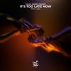 It's Too Late Now [feat. LissA] [feat. LissA] - Single