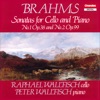 Brahms: Cello Sonatas