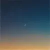 over the moon