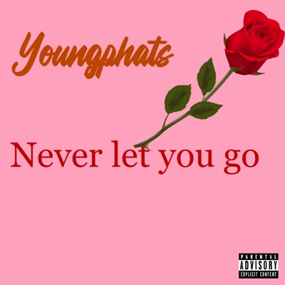 Never let you go (Radio Edit) - Single