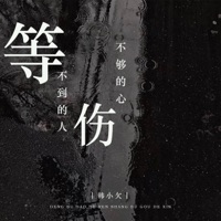 等不到的人伤不够的心 - Single - Han Xiao Qian
