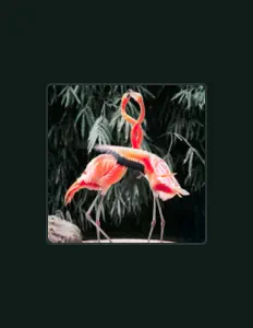 收听 Benoir、观看音乐视频、阅读小传、查看巡演日期等 ！