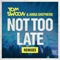 Not Too Late - Tom Swoon lyrics