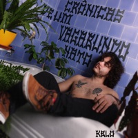 Crônicas de um Vagabundo Nato - Kblo