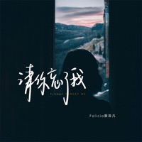 请你忘了我 - Single - Felicia蔡菲凡