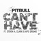 Can't Have (feat. Steven A. Clark & Ape Drums) - Pitbull lyrics