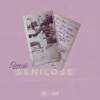 SeniLose - Single