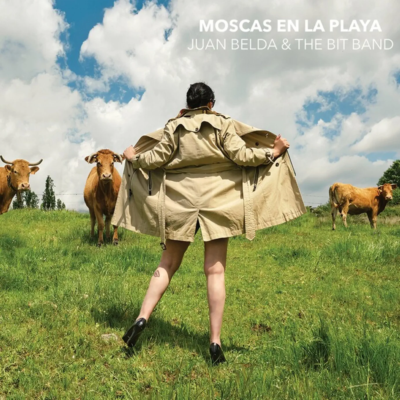 Juan Belda - Songs, Concert tickets & Videos