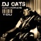 You (feat. Stephanie) - DJ Oats lyrics