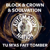 Tu M'as Fait Tomber (Club Mix) artwork