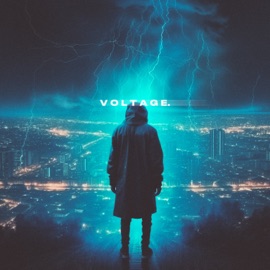 voltage skyfall beats
