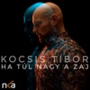 Ha túl nagy a zaj - Single