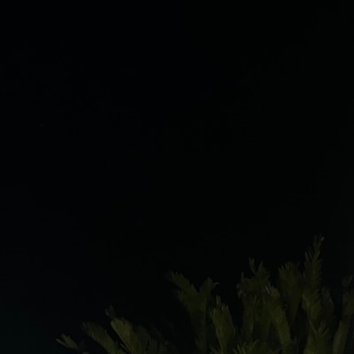 2AM IN SOUTH AFRICA - Single