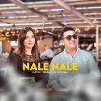Nala nala (feat. Dilsah gücüm) - Single - Haval Ibrahim