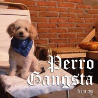 Perro Gangsta - Single - ferni cup