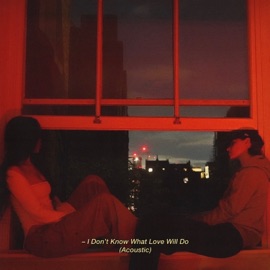 I Don't Know What Love Will Do (Acoustic) Sarah Proctor & Jolé