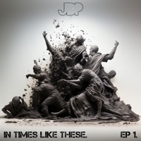 In Times Like These Vol. 1 - EP - JDP