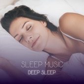 Sleep Music Deep Sleep 3 (feat. Sleep Music) artwork